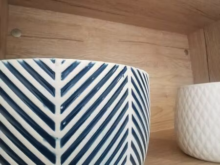 bureaux 190 m² vannes