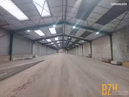 local 1330 m² languidic