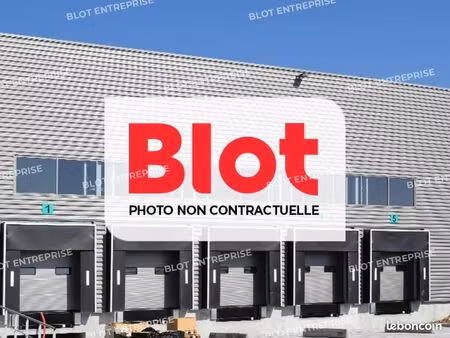 local d'activité 1 177 m²