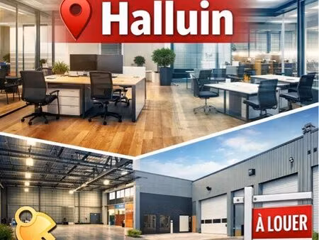 location locaux professionnels halluin