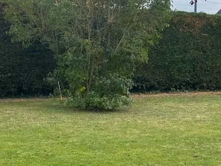 terrain 210 m² domont