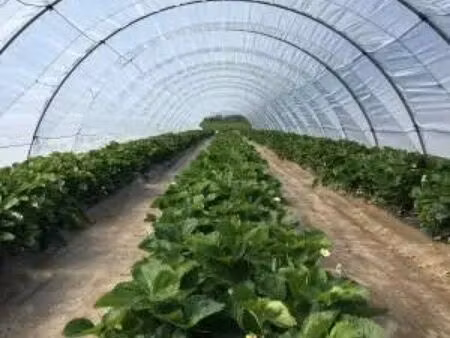 recherche location serre