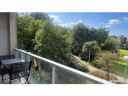 appartement t3 lille centre