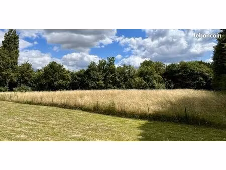 terrain 1 600 m² villeneuve d ascq