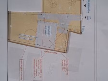 immobilier commercial