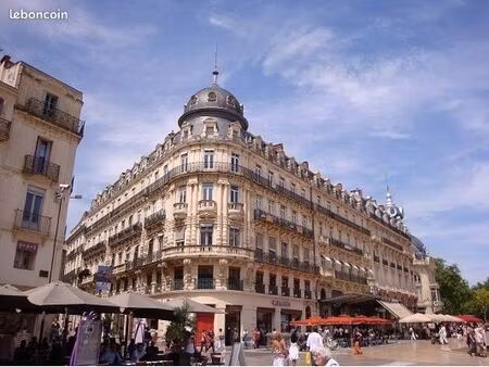 bureaux 140 m² montpellier