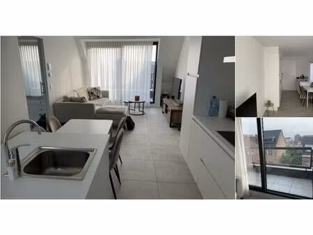 appartement à louer à arsenaalstraat 16 asse (rbv01091)