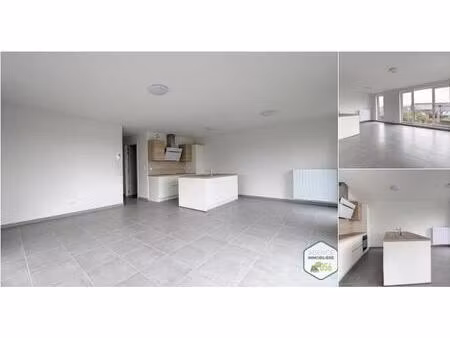 appartement à louer à rue de la petite maille 1/0016 herseaux (vbd71543)