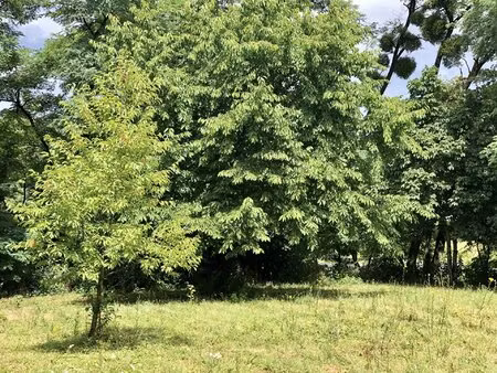 maison de vacances parfaite