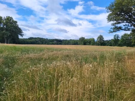 pâturages de grande qualité dans l'indre