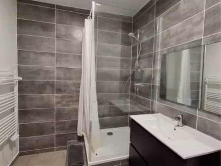 superbe meublé très calme quartier ile saint laurent