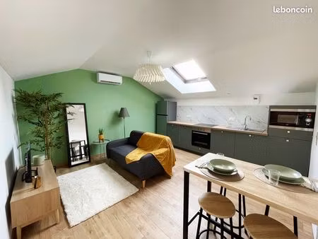 grand t1 bis meublé avec grenier & climatisation