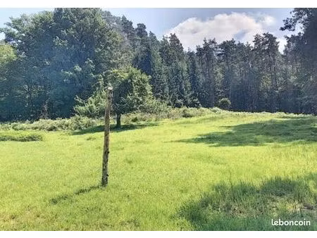 clairière de 50 ares en lisière de forêt