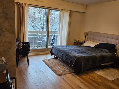 studio 28m2 paris12 sur coulée verte