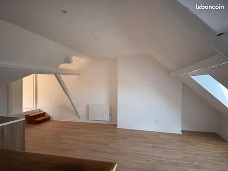 appartement 55 m2 centre ville refait à neuf