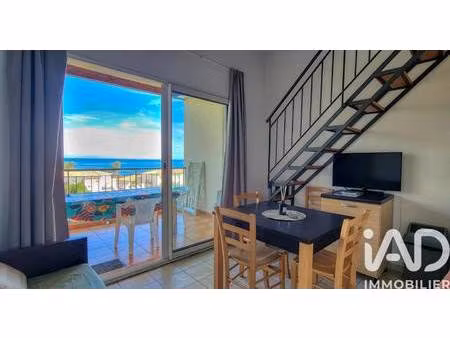 iad france irène valentin