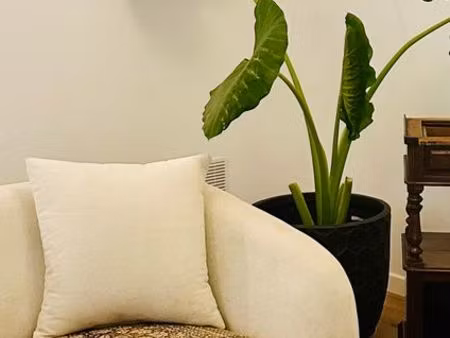 loue maison de charme meublée  centre-ville de st denis de la réunion