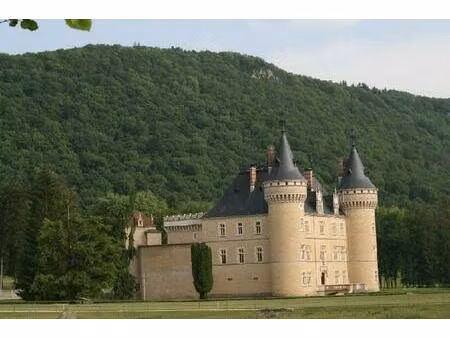 chateau ismh