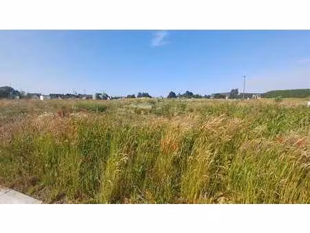 lot 61