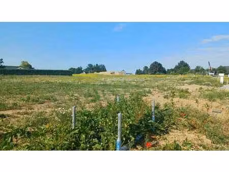 lot 96