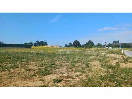 lot 97