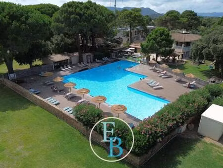 emeline & benjamin immo