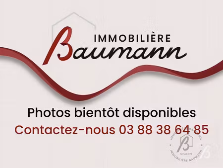 appartement à louer molsheim