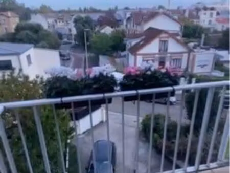 ventes immobilières deux pièces parc du château