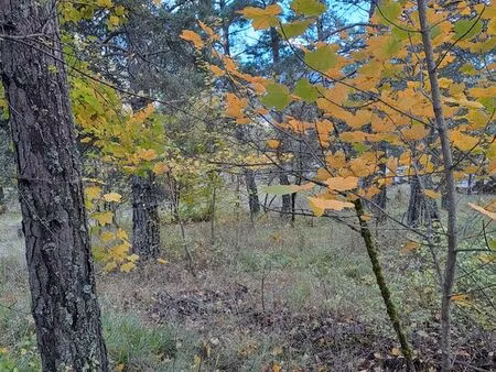 vente terrain viabilisé   1602m2 - à beauvezer 