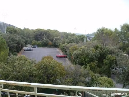 t1 30m². proche zoo  facultés de lettres et sciencess