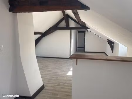 grand appartement mansardée