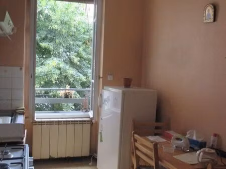 grand f3 meublé brotteaux 6ème