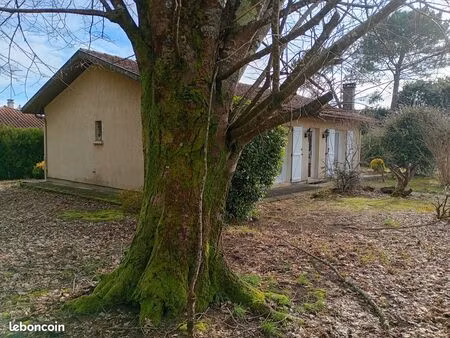 particulier loue maison 103m2. quartier de lac à st paul les dax