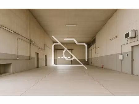 immobilier professionnel à louer morsang-sur-orge