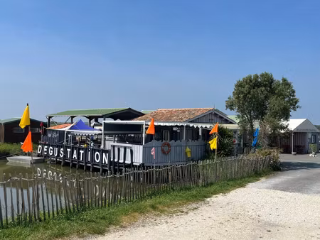 fonds de commerce à vendre dolus d'oleron 10 pièce(s) 237m2 676 000€