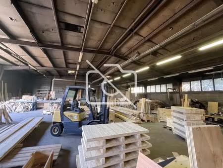 immobilier professionnel à vendre ballainvilliers