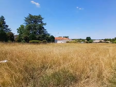 terrain constructible