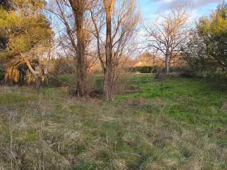 rare sur le secteur – terrain constructible arboré avec accès direct aux réseaux