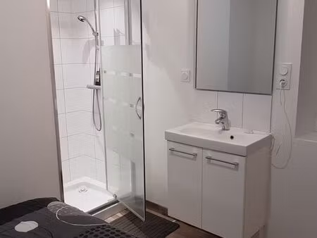 location studio gite cnpe de belleville sur loire et dampierre en burly