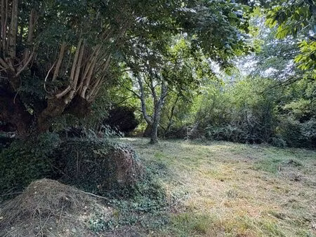 hangars recherche terres agricoles