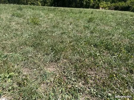 terrain plat et viabilisé