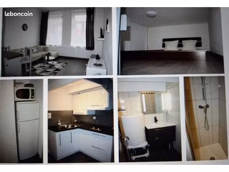 t1 bis 31m² + 9m² saint michelwazemmes mezzanine et parking