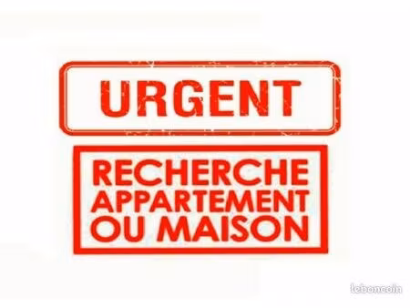 recherche appartement logement