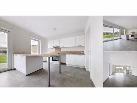 maison à louer avec garage et terrasse   rongy (vbd71730)