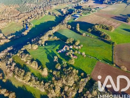 iad france aniko duffiet