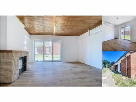 bungalow à louer avec terrasse et jardin   templeuve (vbd71729)