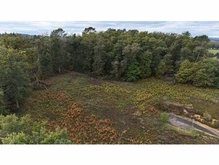 terrain constructible viabilisé à vendre