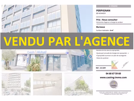 achat local professionnel 295m² perpignan 66000