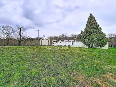 ancienne ferme de caractère à giroussens  sans aucun voisinage  sur plus d’1 hectare de te