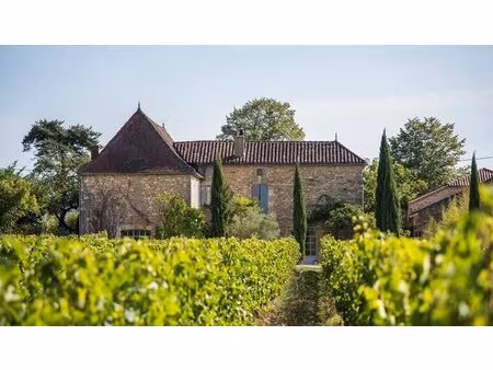 domaine viticole bio avec belle maison de vigneron et chai tout équipé